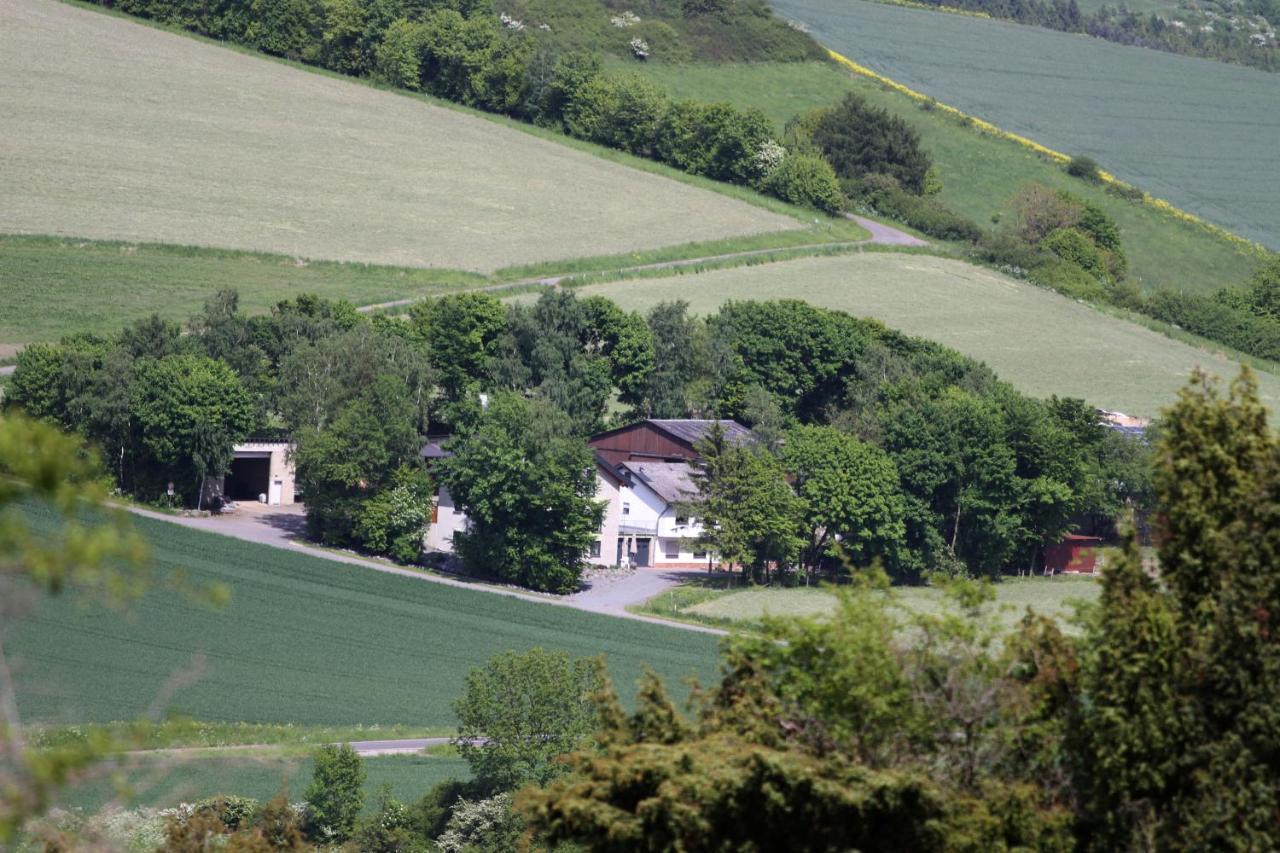 Ferienwohnung Heideblick Volkesfeld Экстерьер фото